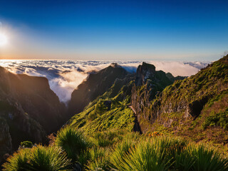 Wall Mural - panorama of the mountains