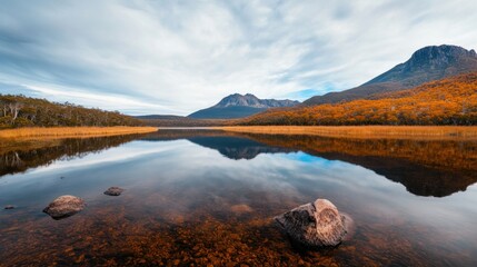 Wall Mural - Autumn Serenity: Panoramic View of the Tasmanian Wilderness