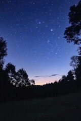 Wall Mural - Night Sky With Few Stars