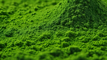 Close-up of spirulina powder, showing its unique grainy texture and deep green color