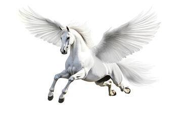 Poster - Realistic Illustration of white pegasus horse, phantasy animal isolated on white background 