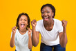 © Prostock-studio - African American Woman And Girl Celebrating Success, Clench Fists And Exclaim With Triumph Over Yellow Background