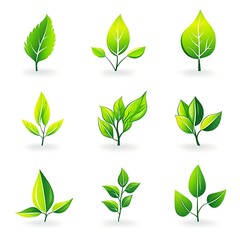 Wall Mural - Set of green leaves icons on a white background. Vector illustration.