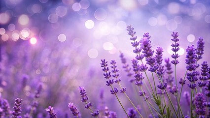 Wall Mural - Lavender Lilac colored background with Bokeh Leading Lines, smooth, abstract, soothing, dreamy,lavender, blurred, calming, relaxing, pastel, light, bokeh, gentle, soft, lilac