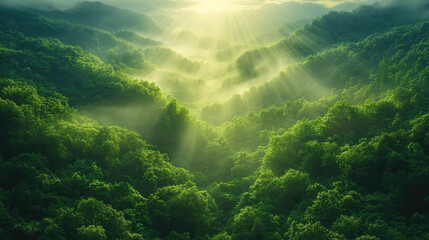  Sunlight filters through mist over a lush green valley at dawn, illuminating the tranquil landscape of rolling hills and trees
