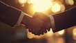 © Lucy - Strategic Business Partnership: Handshakes and Deals in the Sunlit Office. Professional Collaboration and Success in the Corporate World