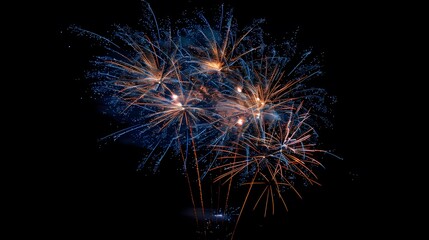 fireworks display: colorful fireworks exploding in the night sky, creating beautiful patterns.