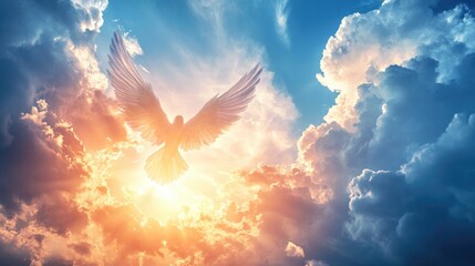 A white dove flies through the sky, illuminated by the bright sun and clouds.