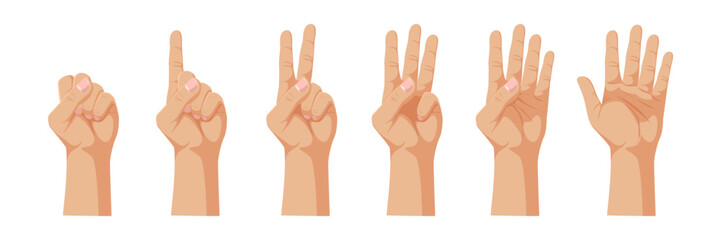 Illustration of a hand showing numbers one to five, with each finger raised accordingly. Simple graphic style on a white background. Concept of counting. Vector illustration