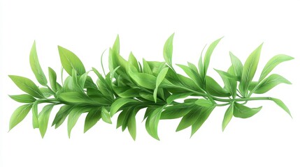 Tarragon clipart, element, 3D illustration, realistic, isolated on white background