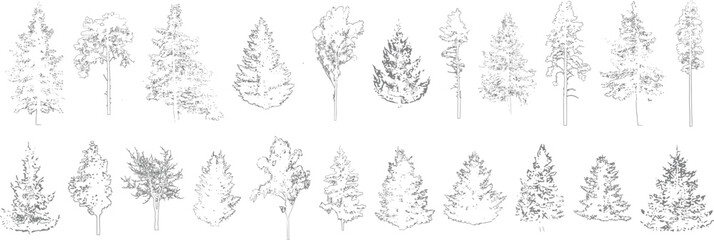 Minimal style cad tree line drawing, Side view, set of graphics trees elements outline symbol for architecture and landscape design drawing