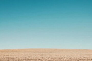 Open field and clear sky