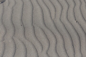 sand ripples in the sand