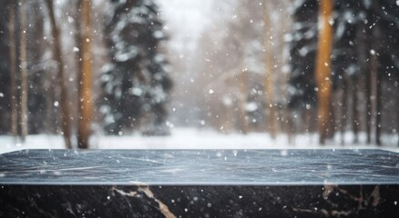 Wall Mural - A snowy forest scene with a marble surface in the foreground.