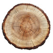 © Simon - Top view of a tree stump slice isolated on transparent background. Crosscut of a beautiful wood grain. Closeup of wooden surface texture.