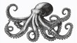© Екатерина Чумаченко - Vintage engraved illustration of an octopus (Octopus vulgaris). The highly detailed monochromatic artwork features the marine creature with its tentacles spread