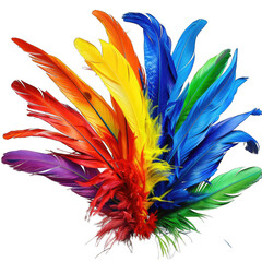 Poster - colorful feathers isolated on transparent background png
