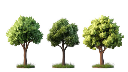 A digital illustration of three stylized trees with green foliage, isolated on a black background.