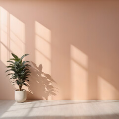 Poster - Empty room with a plant in a pot