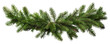 © Rawpixel.com - PNG  Christmas tree pine garland spruce plant fir.