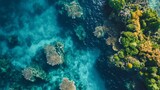 Expansive aerial shot of a vibrant coral reef in crystal-clear waters, with colorful corals and schools of fish visible beneath the surface. 4K hyperrealistic photo.