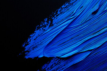 Wall Mural - bright blue brush stroke of paint on black background