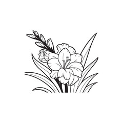 Wall Mural - Elegant Gladiolus Flower and Leaves - Black Outline on White Background.