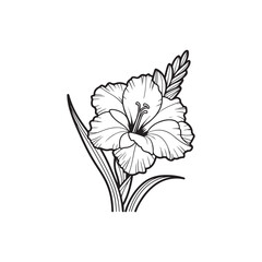 Hand-Drawn Gladiolus Flower with Leaves - Black Outline Vector.