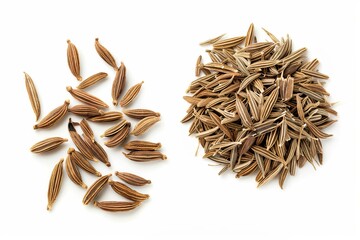 A fresh Caraway seed and Caraway seed Power isolated on white