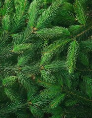 Wall Mural - pine christmas and new year holiday green backdrop