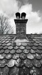 © Infinity - A close-up of a stone chimney on a slate roof against a cloudy sky.