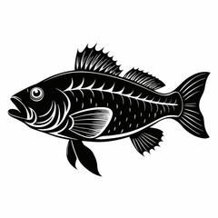 Wall Mural - Wrasse Black Vector silhouette