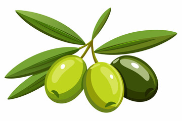 Illustration of olives on branch with leaves isolated on a white