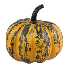 halloween pumpkin on an isolated white background --v 6.1 job id: 993e1738-3d31-491c-97d4-00465c4e89