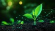© Natawut - Green Plant Sprout with Network Connection