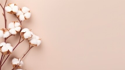 White cotton flowers on beige background. Flat lay, top view.