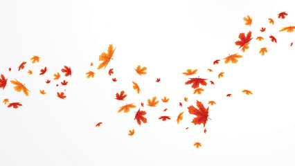 Autumn falling leaves, isolated on white