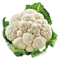 Wall Mural - PNG Freshly harvested cauliflower with green leaves