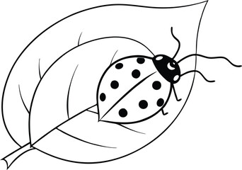 Adorable Ladybug on a Leaf Vector Art for Kids Coloring Book
