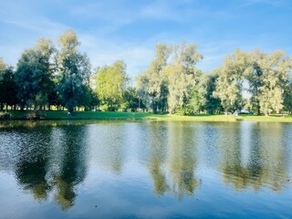 Wall Mural - Trees reflection on the lake surface, blue lake in the park, summertime