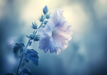 Poster - Delicate White Flower with Blue Hues