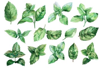 Canvas Print - Watercolor illustration of green leaves with intricate details