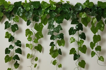 Wall Mural - Fresh Green Grape Ivy Vines with Hanging Tropical Leaves for Stunning Border Decoration