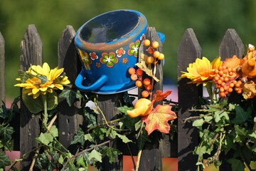 Canvas Print - Blue metal pot decorated with flowers on wooden fence in countryside