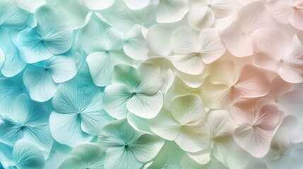 Poster - Delicate pastel hydrangea petals in shades of blue and white subtly blend together in a serene floral pattern