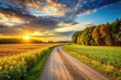 © Chanchai - lush, nature, golden, A scenic road stretches near a lush forest on the edge of a golden soybean field while the sun sets over the expansive farmland creating a breathtaking panoramic view