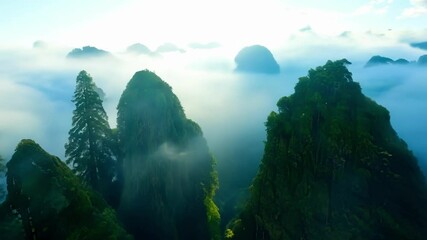Wall Mural - The sun gently illuminates majestic mountain peaks enveloped in mysterious fog, creating a magical atmosphere with lush forests, swirling mist, and dramatic cliffs