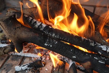 Close-Up of Burning Firewood with Bright Flames