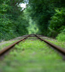 Wall Mural - Looking down an old railway line straight.