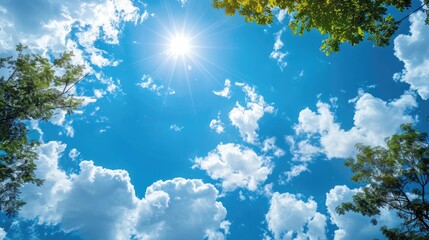 Wall Mural - Sunny Sky with Clouds and Trees Under Clear Blue Summer Day Sky